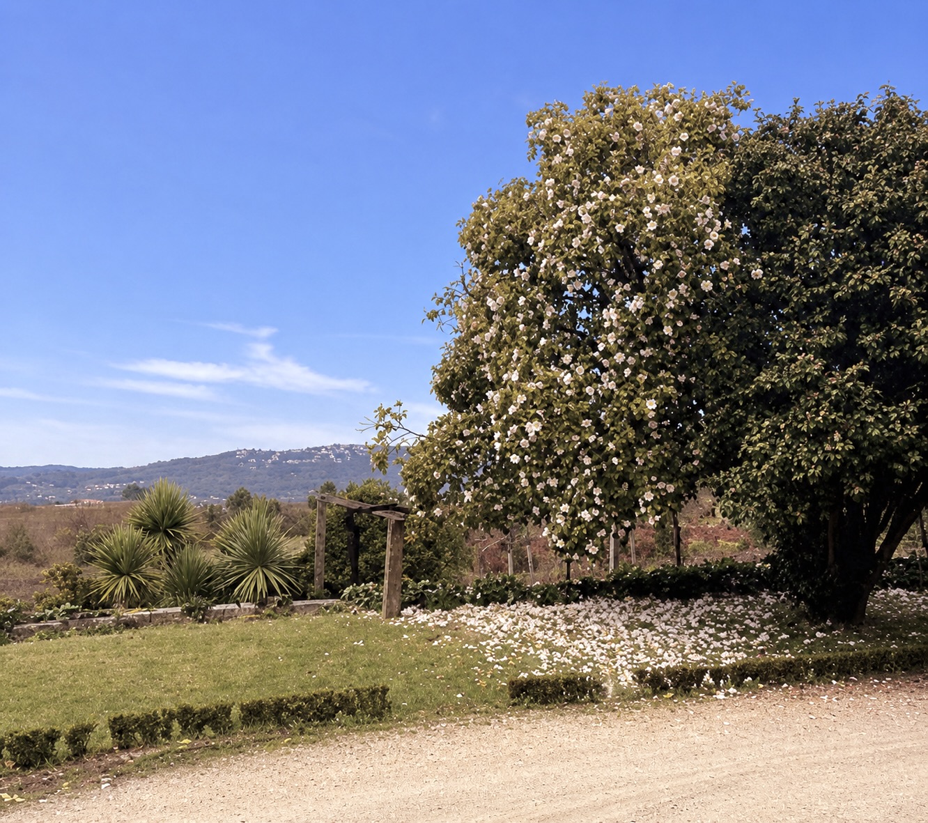 Quinta da Casa do Casal
